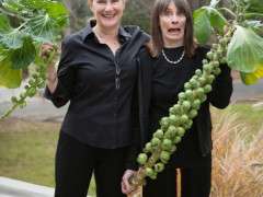 marion adn margaret roach with brussels sprouts image