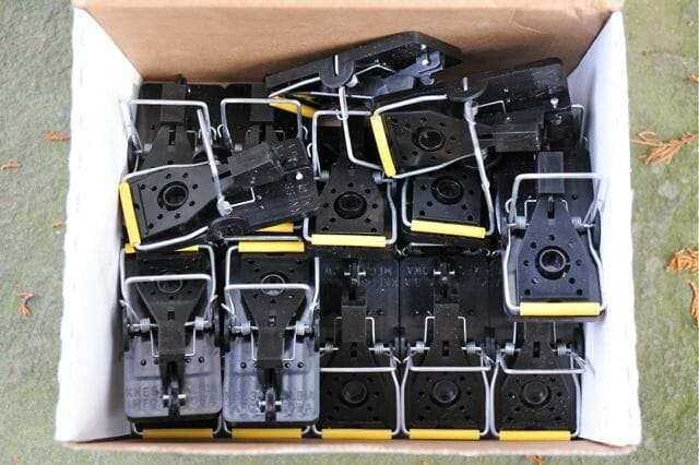 mousetraps