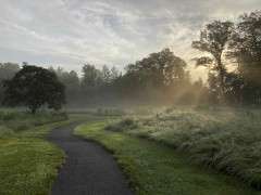 MOW EDGES StoneleighSamNestory image