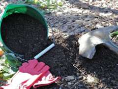 mulch faq image
