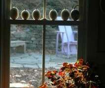 nest egg gourds image