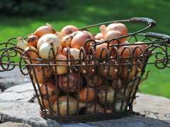 onion basket image