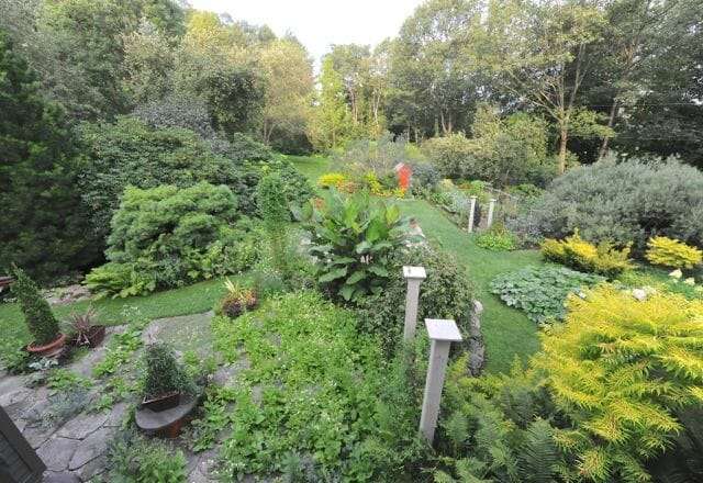 west view Margaret Roach garden summer