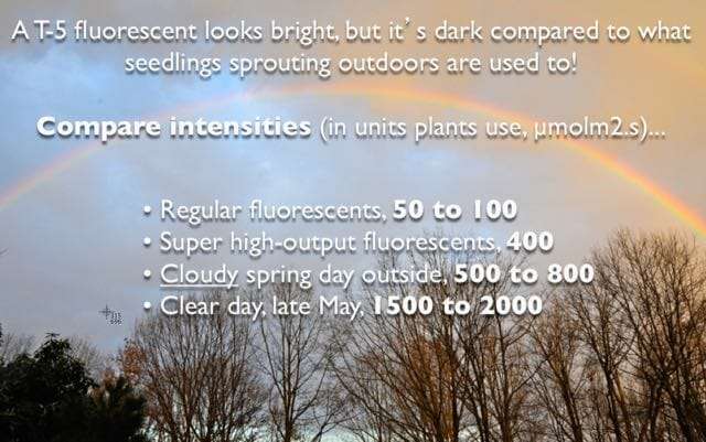 intensity of outdoor light in spring