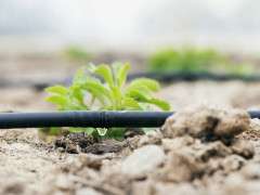 p135 stock photo drip irrigation 412575241 image