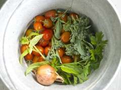 pail of vegetables image