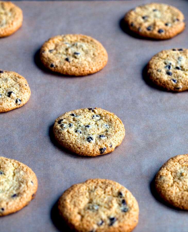 Paleo-Chocolate-Chip-Cookies-