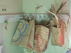 paper bags of seed drying image
