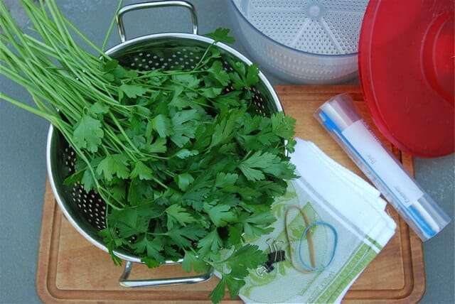 parsley-gear
