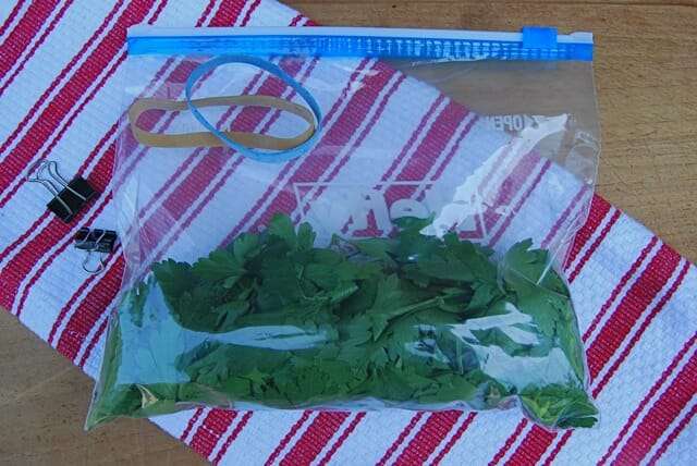 parsley-stuffed-down