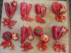 Pepper Tasting1 image