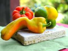 peppers image