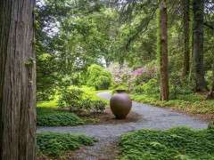 POT BY PATHWAY Fertility vessel at Blithewold image