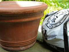 potting soil and pot image