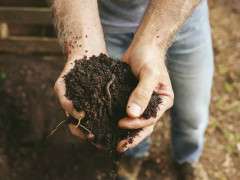 Quarto VegGardenCS5716 079 image