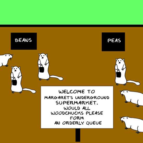 queue-1