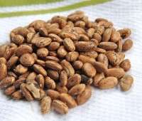 rattlesnake pole bean seeds image
