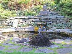 removing debris from water garden image