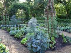 rows of kale lettuce cabbage and fennel produce a bounty in the vegetable garden while peas climb on carrot shaped trellises lr image