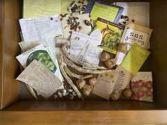 SEED DRAWER IMG 6488 image