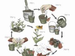 artist Jada Fitch image