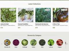 SEEDLINKED COLLECTIONS image