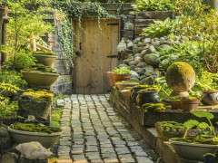 Sievert Moss Garden image