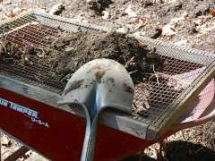 sifting compost 2 image