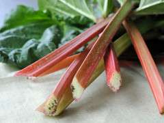 slender rhubarb spears image