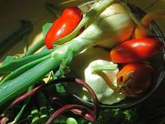 soup stuff image