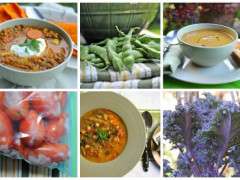 soup to freeze image