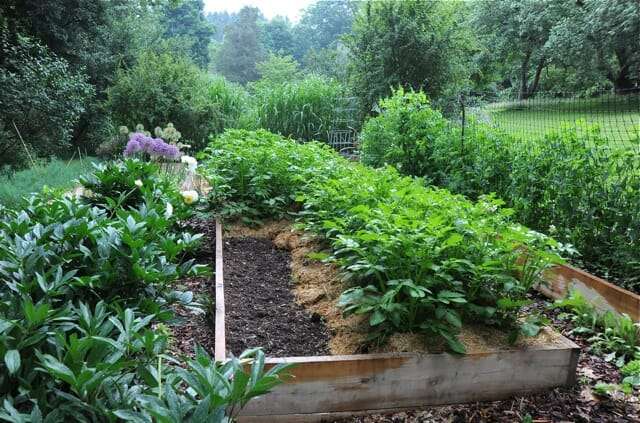 Margaret Roach vegetable garden
