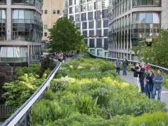 Spring Perennials by Timothy Schenck High Line May DSC 3810 image