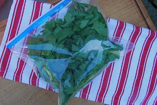 stuff-bag-with-parsley