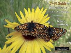 Swift Guide to North American Butterflies, 2nd edition, pg 2 3[1] image