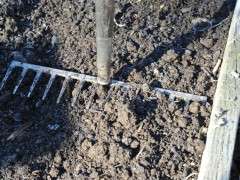 tamping down row with rake image
