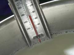 thermometer in goat milk image