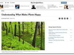 thomas rainer in nyt image