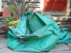 tip bag image