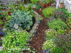 TLoeGardenJune2013wm image