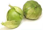 Tomatillo 01 cropped image