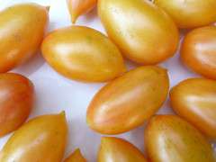 tomato blush e1490628613119 image