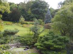 unmown back hillside fall 2014 image