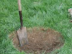 unspecified 2 image