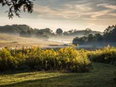 unspecified 8 image