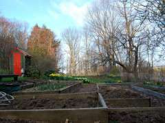 vegetable beds prepped image