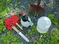 Vinegar Herbicide image