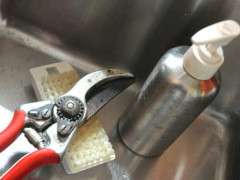 wash pruning shears after use image