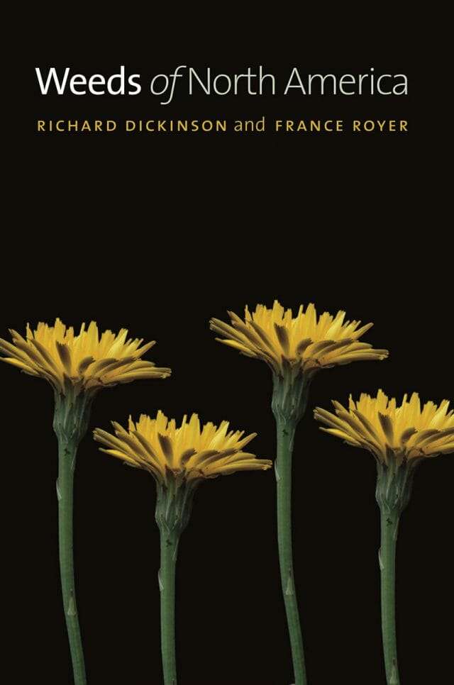 weed book