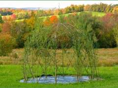 Willow Dome  TLF 18 image